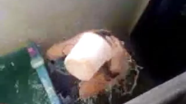 وہ اکیلے گھر فیلم سکس دوس دختر میں