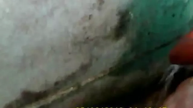 لات مار کے تاج سکس زن و پسر گیند