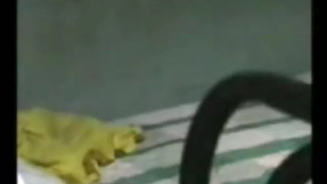 اوپن سکس زن با جوان آپ سکرٹ ، ہم دیکھیں گے میں کیا ہے وہاں