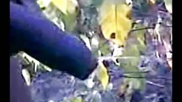 میں نے دیکھا ایک عشق بازی و سکس بہن مشت زنی اور مدد نہیں کر سکتے ہیں اپنے آپ کو
