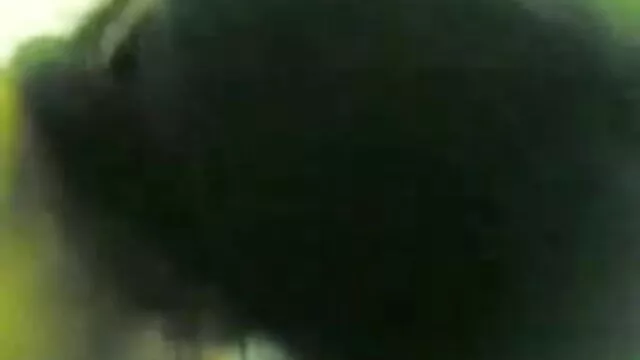 چلو چوستے کی زحمت نہیں کی سکس با زنان هیکلی