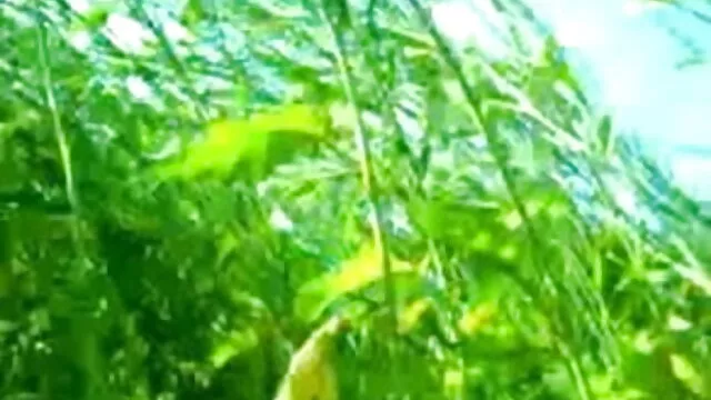 ذاتی اس لخت شدن قبل از سکس کی بیوی کے ساتھ فطرت میں