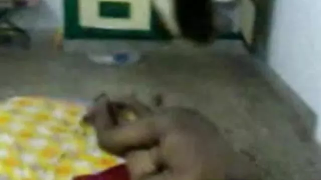 بنانے کے لئے کس طرح کے دیدن راحت فیلم سکسی ساتھ ایک threesome فحش