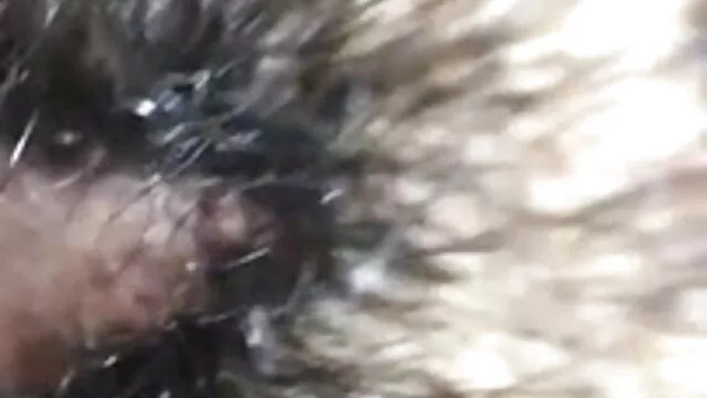 دیکھ میں اس ویشیا کے ساتھ بھاڑ میں جاؤ دانلود فیلم سکسی ارضا شدن زن