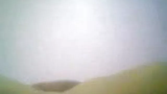 اس فیلم سکس زن جلو شوهر بات پر قائل pornografinya