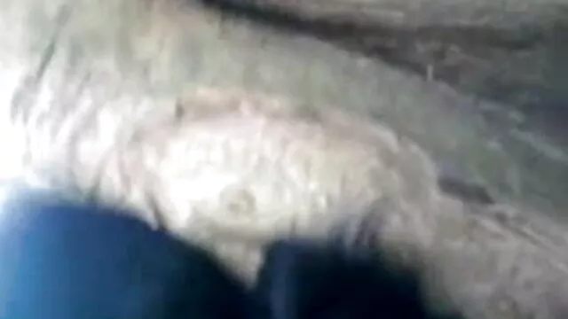 جھاڑی سکس حیوان زن بال